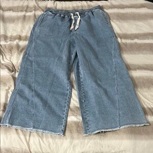 NWT Aerie Wide-Leg Denim Pants